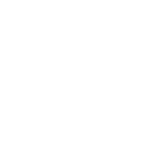 ZEUS emblem