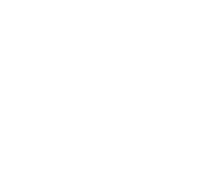 GENESIS emblem